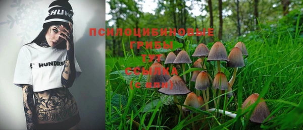 шишки Абдулино