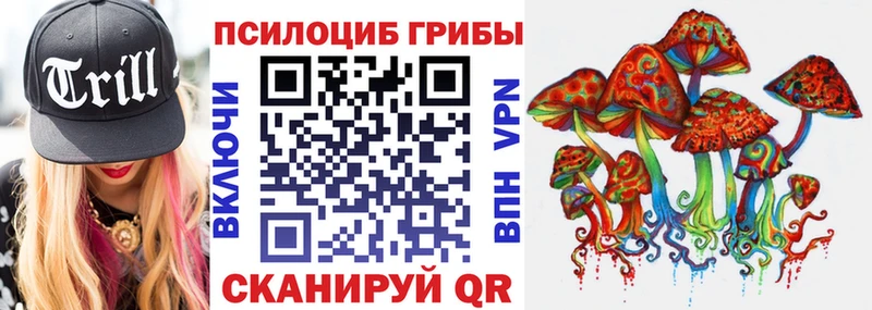 Галлюциногенные грибы Cubensis  как найти закладки  Лесозаводск 